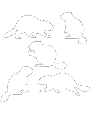 Beaver Patterns