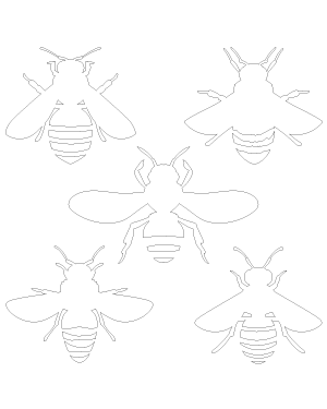 Bee Top View Patterns