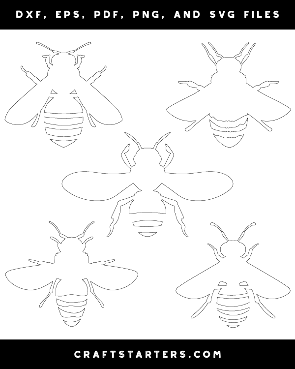 Bee Top View Patterns