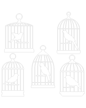 Bird in Cage Patterns