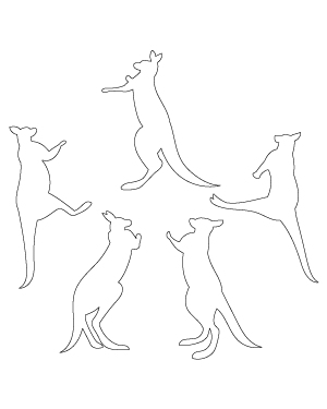 Boxing Kangaroo Patterns