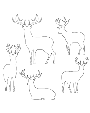 Buck Patterns