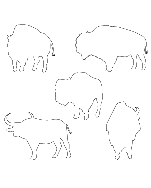 Buffalo Patterns