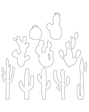 Cactus Patterns