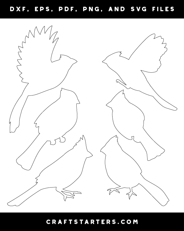 Cardinal Outline Patterns: DFX, EPS, PDF, PNG, and SVG Cut Files