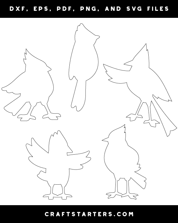 Cartoon Cardinal Patterns