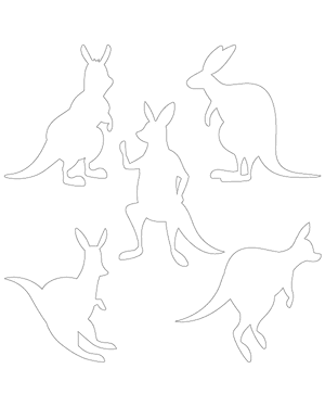 Cartoon Kangaroo Patterns