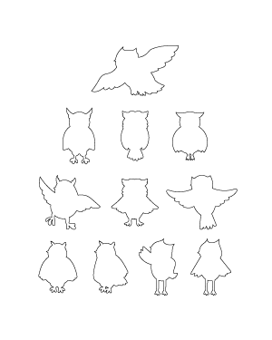 Cartoon Owl Patterns