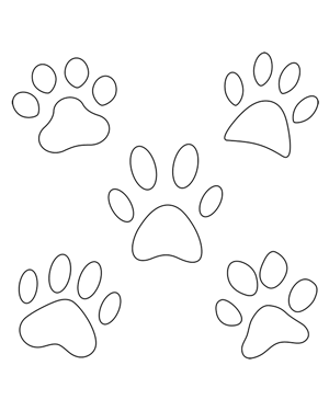 Cat Paw Print Patterns