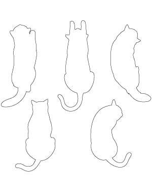 Cat Top View Patterns