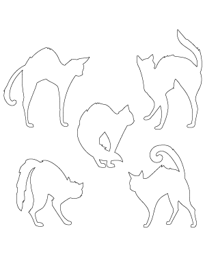 Cat With Arched Back Patterns