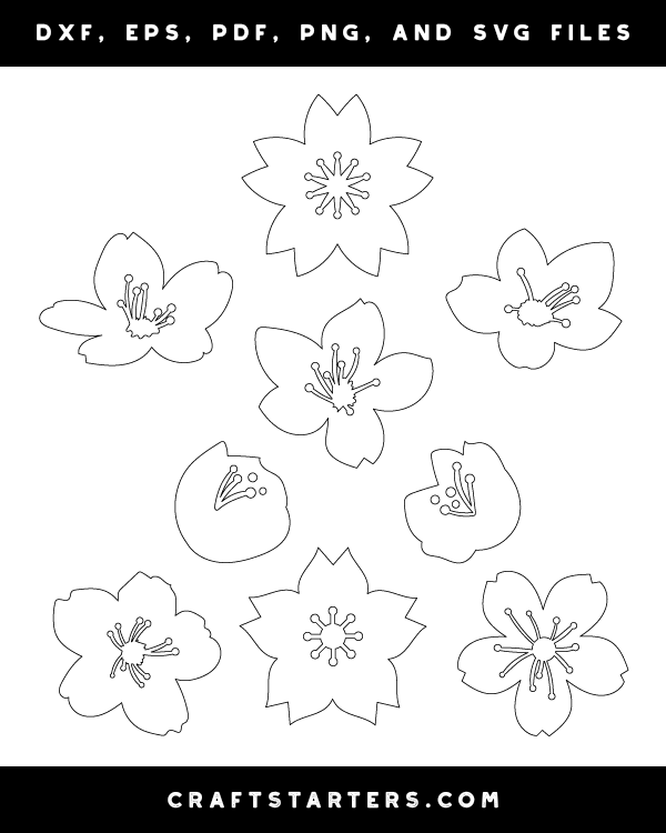 Cherry Blossom Outline Patterns: DFX, EPS, PDF, PNG, and SVG Cut Files