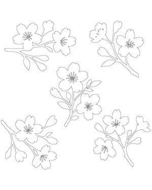 Cherry Blossoms Patterns