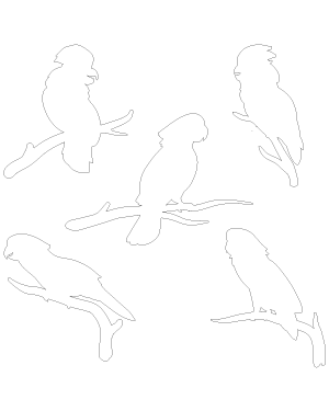Cockatoo on Branch Patterns