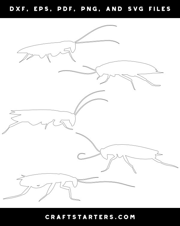 Cockroach Side View Patterns