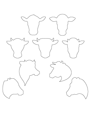 Cow Head Patterns