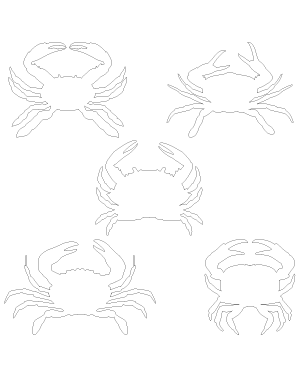 Crab Top View Patterns