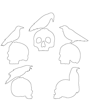 Crow and Skull Patterns