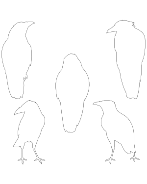 Crow Front View Patterns