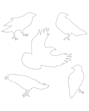 outline black crow cut outs