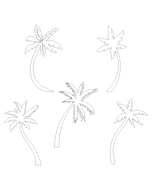 Curved Palm Tree Patterns