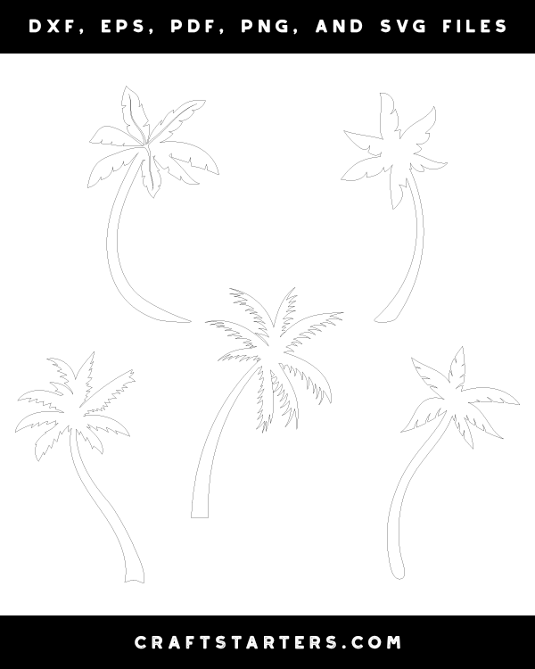 Curved Palm Tree Patterns