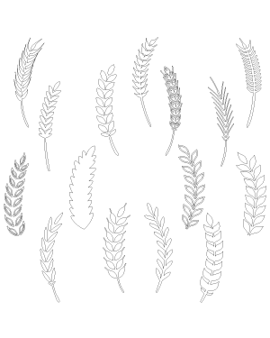 Curved Wheat Patterns