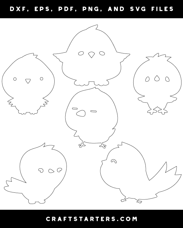 Cute Bird Patterns