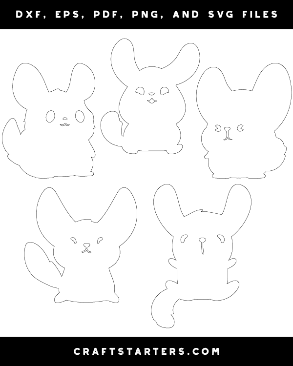 Cute Chinchilla Patterns