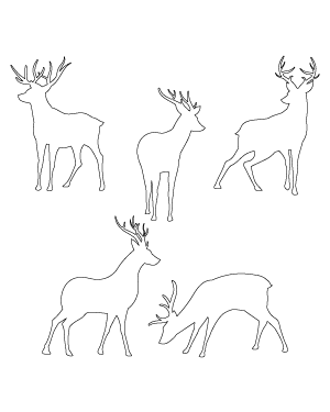 Deer Patterns