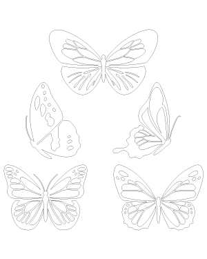 Detailed Butterfly Patterns