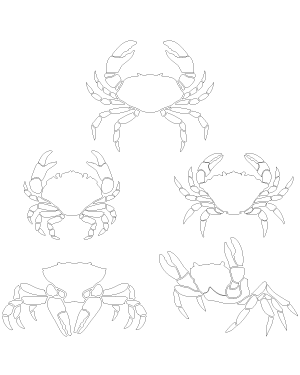 Detailed Crab Patterns