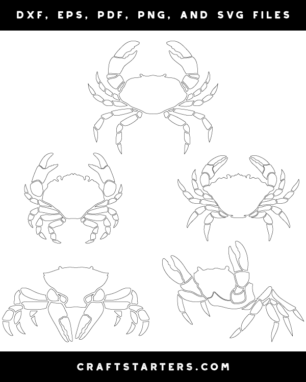 Detailed Crab Patterns