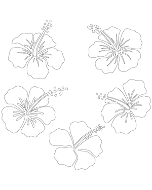 Detailed Hibiscus Patterns