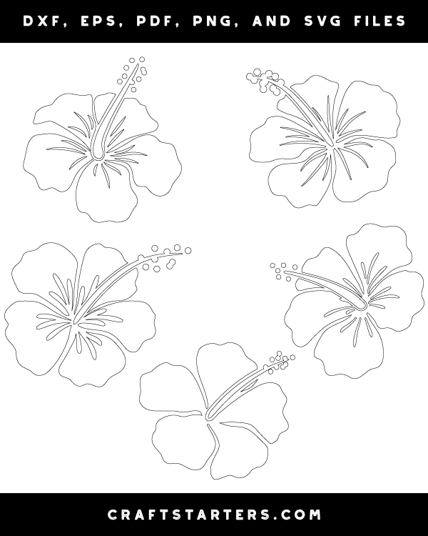 Detailed Hibiscus Patterns