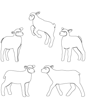 Detailed Lamb Patterns
