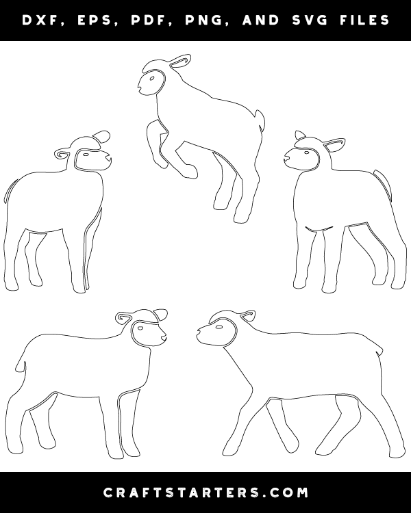 Detailed Lamb Patterns