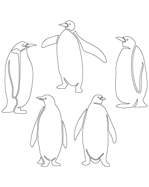 Detailed Penguin Patterns