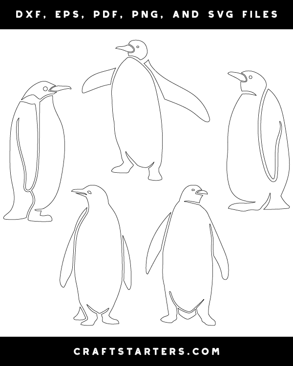Detailed Penguin Patterns