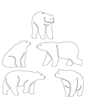 Detailed Polar Bear Patterns