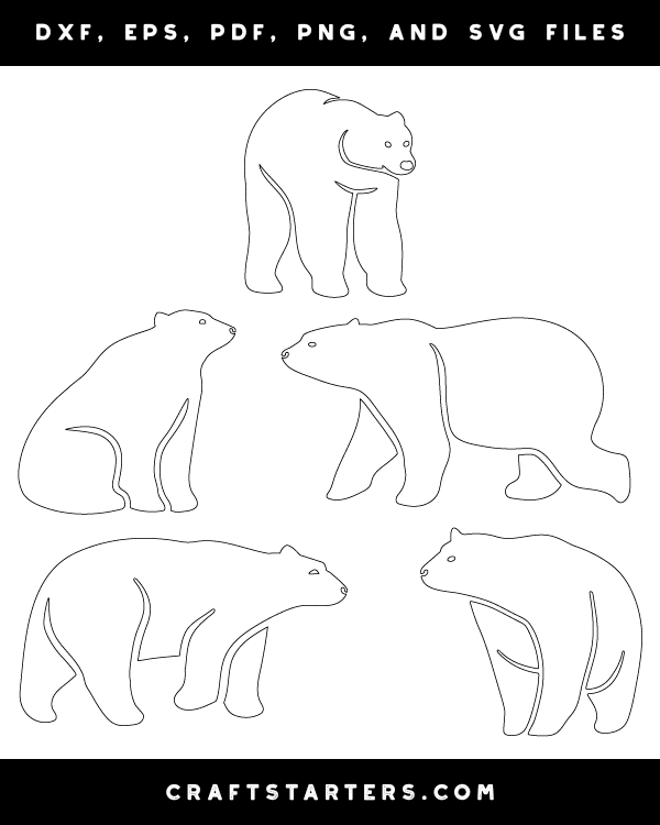 Detailed Polar Bear Patterns