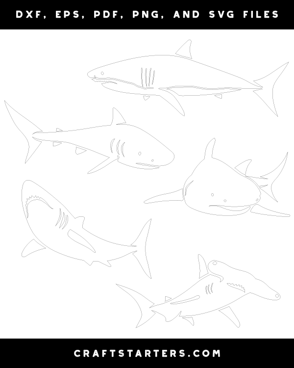 Detailed Shark Patterns