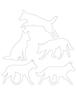 Dingo Patterns
