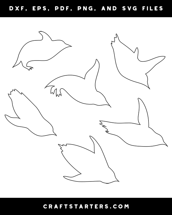 Diving Penguin Patterns