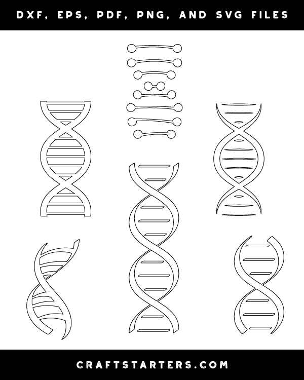 DNA Patterns