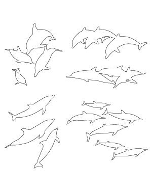 Dolphin Pod Patterns