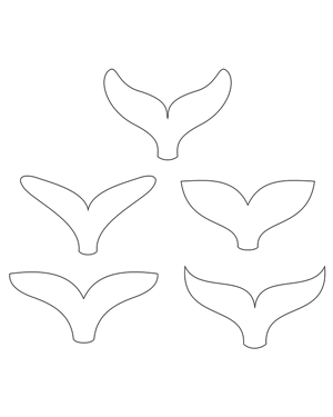 Dolphin Tail Patterns