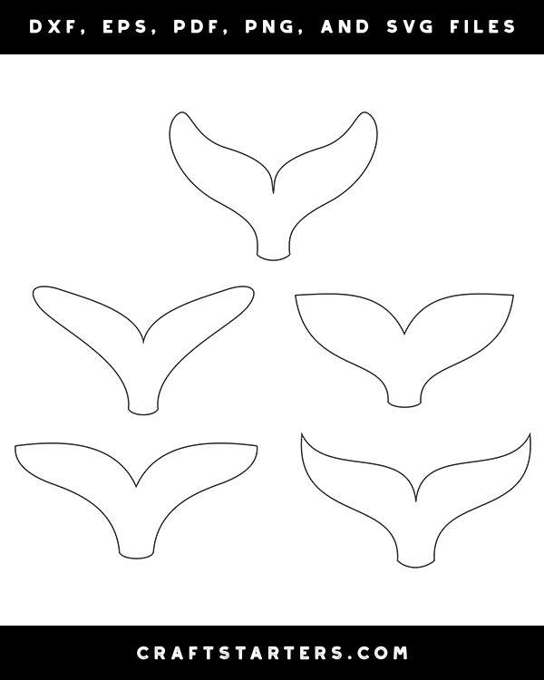 Dolphin Tail Patterns