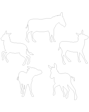 Donkey Patterns