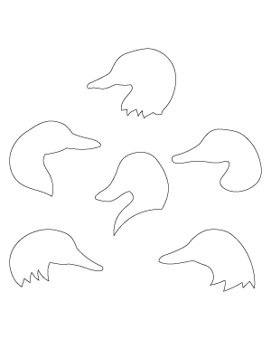 Duck Head Patterns